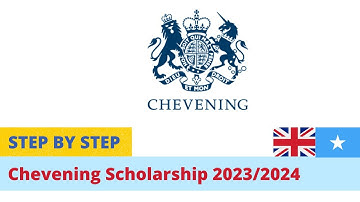 CHEVENING: Work experience I Course selection I References