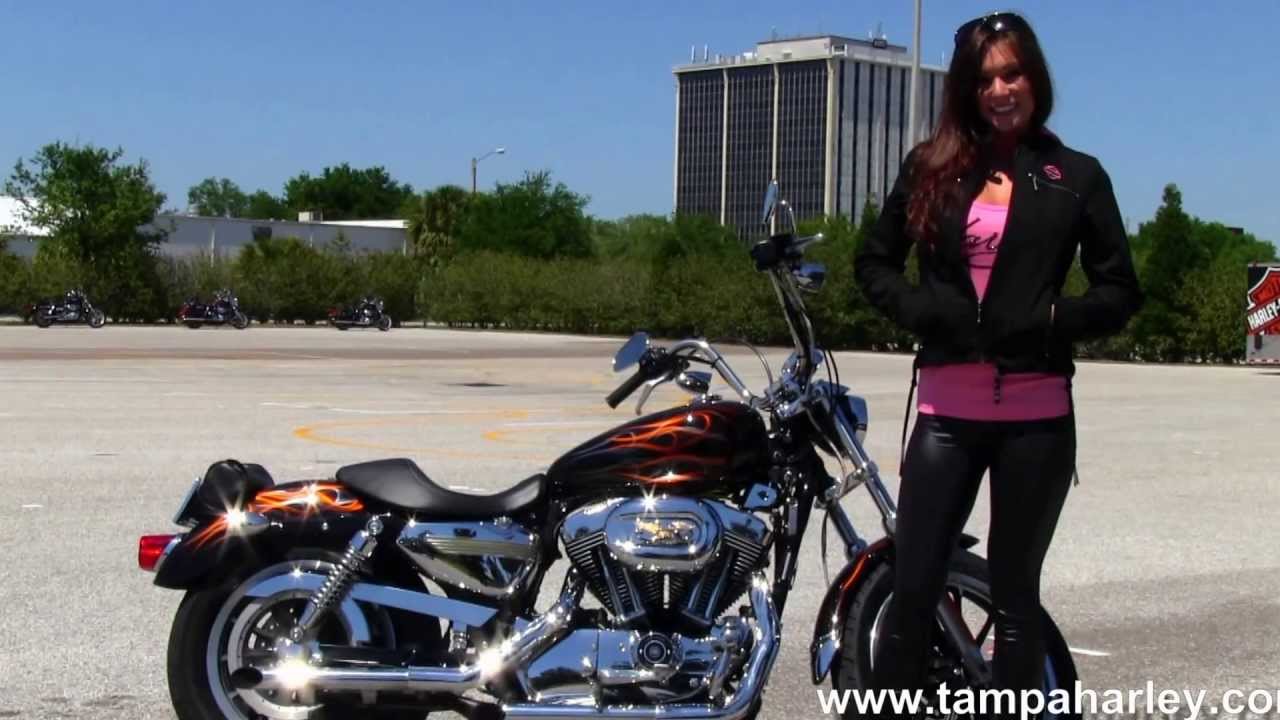 2006 Harley-Davidson XL 1200L Sportster 1200 Low