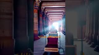 إستوديو أطلس بورزازات مكان تصوير فيلم king tut سنة 2014