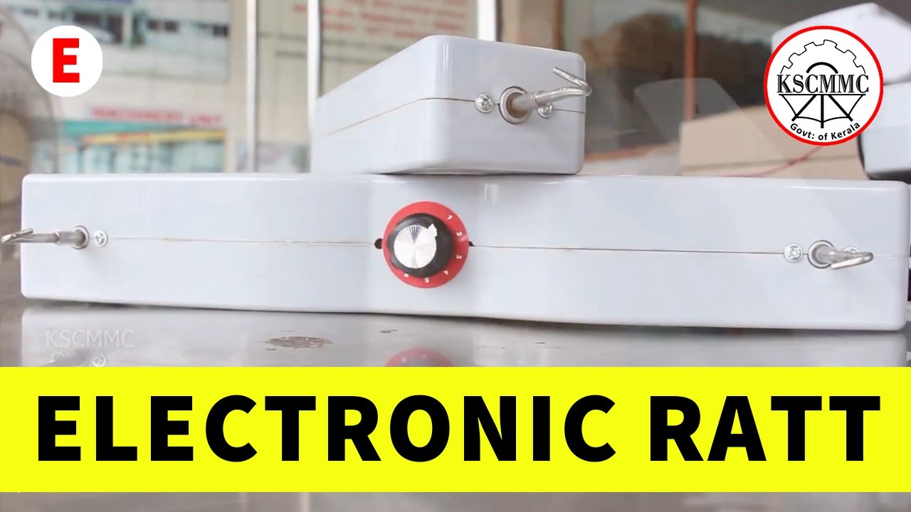 Electronic Ratt | English | #101 | KSCMMC