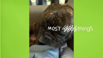 Yubico and Pointsharp: go passwordless securely