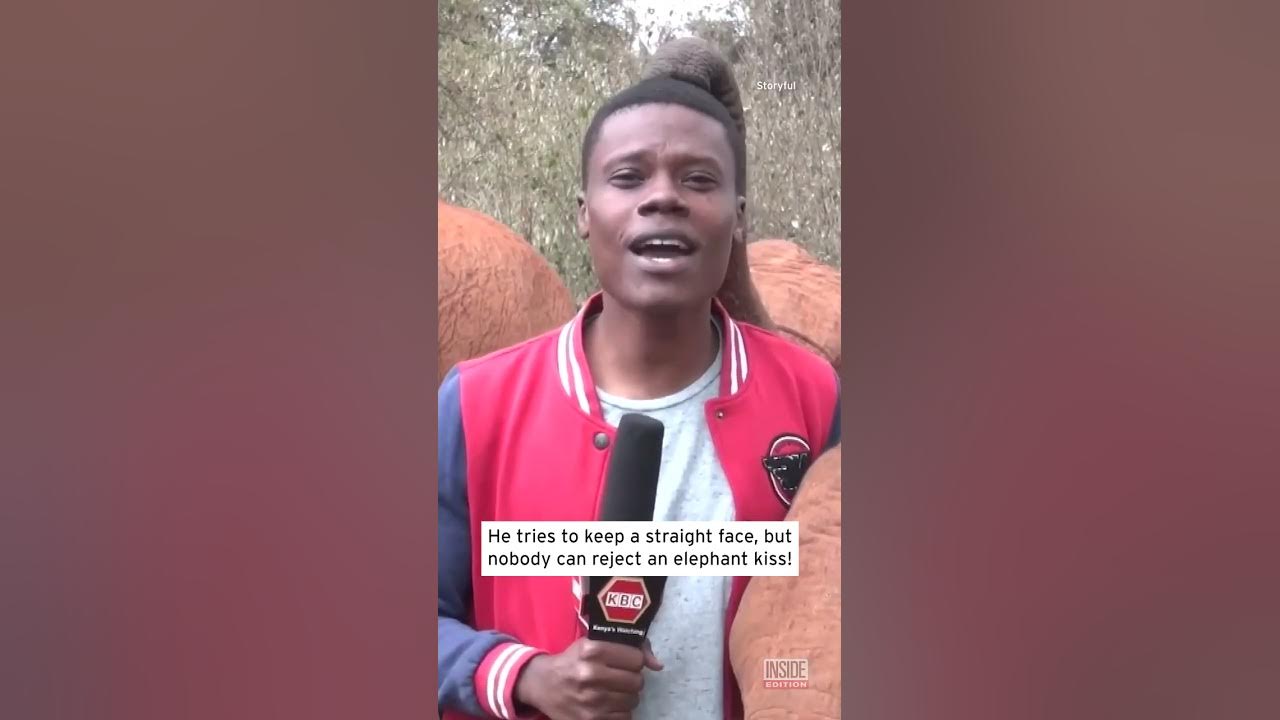 Baby Elephant Photobombs Reporter With Trunk Kiss #shorts - YouTube