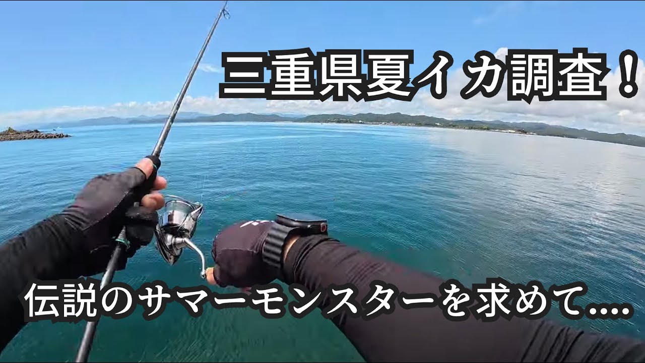 【エギング】巨大夏イカを求めて三重県夏イカ調査に行ってきました。【伊勢志摩】