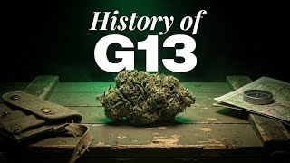 G13 The Most Mysterious Strain in Cannabis History