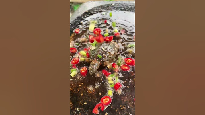 Grilled Turtle on Slate|Chinese Mountain Forest Life And Food #MoTiktok #Fyp