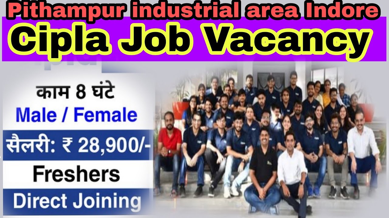 Cipla Limited job vacancy Boy & Girl !!