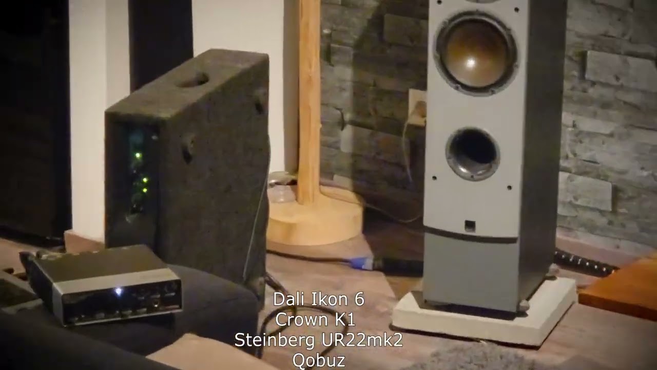 デンマークの名門DALI製 IKON6