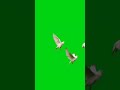 Birds Flying Effect Green Screen 