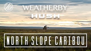 Weatherby & HUSH Caribou Hunt: North Slope Caribou