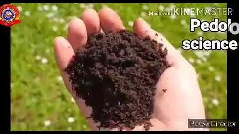 Standard 8 Social Science Chapter 3 Part 4 In Search Of Earth