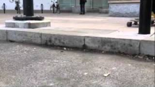 Spring Longboarding