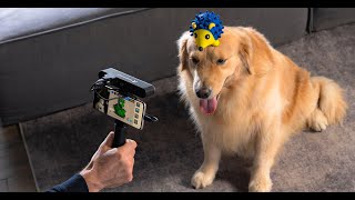 Revopoint Pop 2 Precise 3D Scanner With 0.1Mm Accuracy - Smart Tech Startup