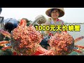 赶海抓到一堆螃蟹，鱼贩出价1000元，整整两大筐卖光光！【阿渔妹】