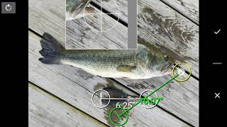 Estimate the length and weight of the fish you catch using a cell phone app. screenshot 5