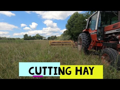 Cutting Hay with International 1086 & New Holland 488 - YouTube