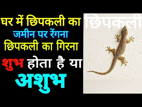 वीडियो: आप कैसे रेंगते हैं?