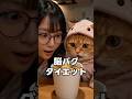 ルナの新しいダイエット理論です🤣 #猫動画 #元気になる動画 #cute #かしわねこ #猫のいる暮らし #好きな子猫 #cat #pets #猫好きさんと繋がりたい #ダイエット #くるみとルナ