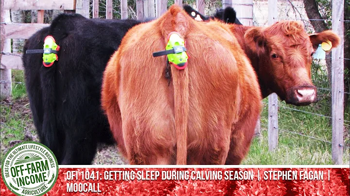 OFI 1041: Getting Sleep During Calving Season | St...