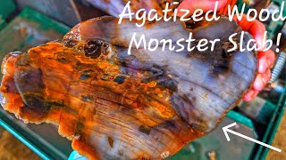 Colorful Rock Cuts... Mossy Agates, Jasper, Agatized Wood & Crazy Lace | Large Rock Cuts by Montana Rock Mom 18,579 views 1 year ago 19 minutes