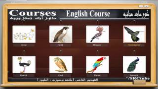 05 Birds Names in English - قراءة ونطق أسماء الطيور باللغة الانجليزية