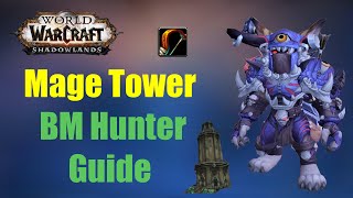 BM Hunter Mage Tower Guide Deutsch | WoW 9.1.5