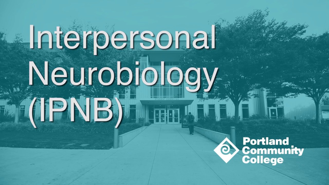 Foundations of Interpersonal Neurobiology (IPNB)