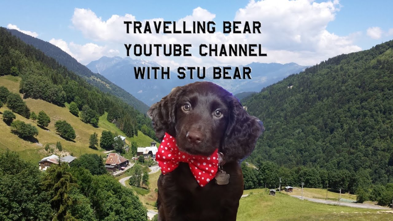 Join Stu Bear's Adventures