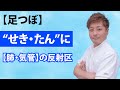 【足のもみ方】せき・たんの足ツボ！官足法・若石健康法
