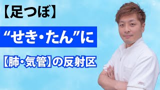 【足のもみ方】せき・たんの足ツボ！官足法・若石健康法