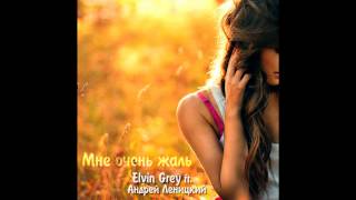 Смотреть клип Андрей Леницкий Ft. Elvin Grey -- Мне Очень Жаль (2014)