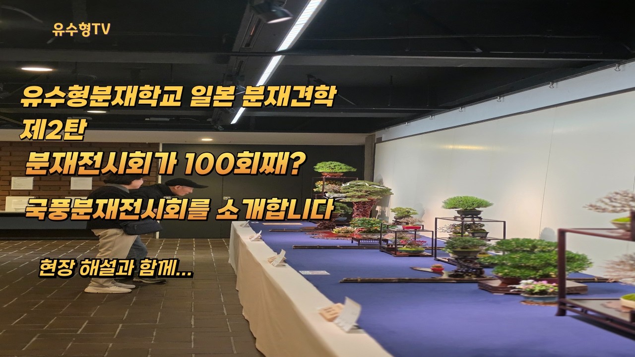 유수형분재학교 2026 일본견학 제2탄 - 제100회 국풍분재전 #일본분재견학 #일본분재 #국풍전 #국풍분재전 #분재학교 #유수형분재학교 #bonsaiexhibition