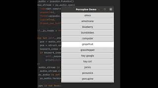 Porcupine Wake Word Engine - Python SDK - Radio Button Demo screenshot 3