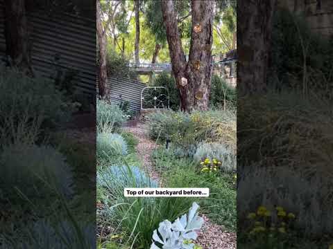 Vídeo: Disseny de jardins urbans ornamentals - Plantes ornamentals per a jardins urbans