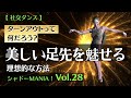 【 社交ダンスラテン 】美しい足先を魅せる方法「ターンアウトって何だろう？」by シャドーMANIA！Vol.28