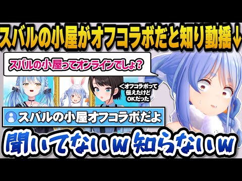 出演予定のスバルの小屋がオンラインだと思っていたらオフコラボだと知り動揺するぺこらw【ホロライブ切り抜き/兎田ぺこら/大空スバル】