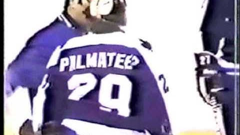 dave schultz sabres 21 runs palmateer