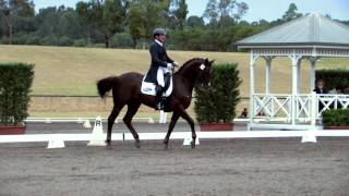 CDI 2016 - Heath Ryan & Utopian Cardinal 6th in the Pryde's Easifeed Grand Prix