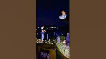 Câu cá tra đêm #camr1 #camr2 #camr3