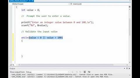 While Loop in C for Validation