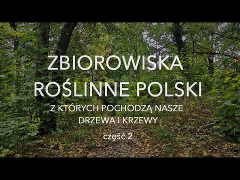 Wideo: Miejsca docelowe zależne od ekoturystyki stoją w obliczu cichego kryzysu