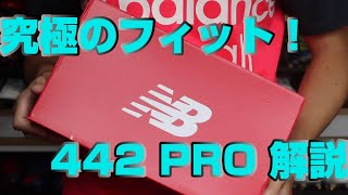ニューバランスのフラッグシップモデル、究極フィットモデルを開封