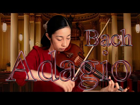 演奏動画】バッハ 無伴奏ヴァイオリンのためのソナタ第1番より
