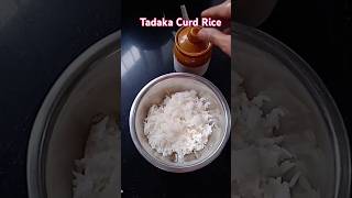 South Style Curd Rice/Temple Style Curd Rice/Tadaka Curd Rice/थंडगार दहीभात/ ಮೊಸರು ಬುತ್ತಿ