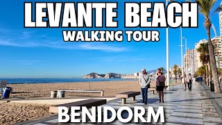 Benidorm: Levante Beach at 9:30 AM, Already BUZZING?! 😲🏖️