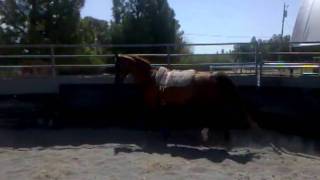 VID_20110506_110318.3gp