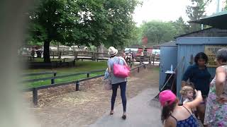 IMG 0343