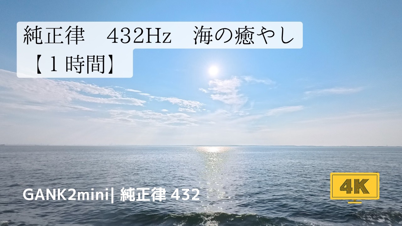 SEA-ON 三線本体 黒色 海音 ※説明読んでください。 SEA-ON 三線本体