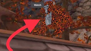 I Met -Superxclyde In Gorrila Tag