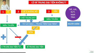 Hội chứng tắc ruột. Bài 5. Bí trung đại tiện