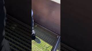 IMG 0684